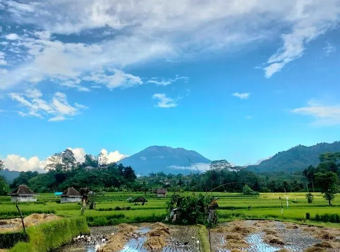 Bukit Luah Pensión 4*