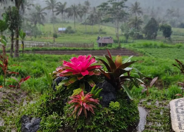 Bukit Luah Sidemen (Bali)